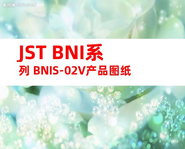 JST BNI系列 BNIS-02V产品图纸